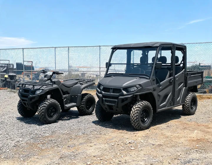 Side-by-side vehicle inquiry lineup